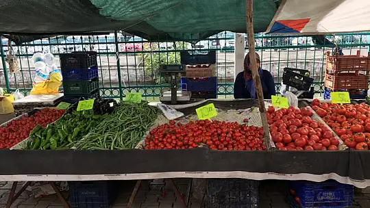 Alanda dertli satan da