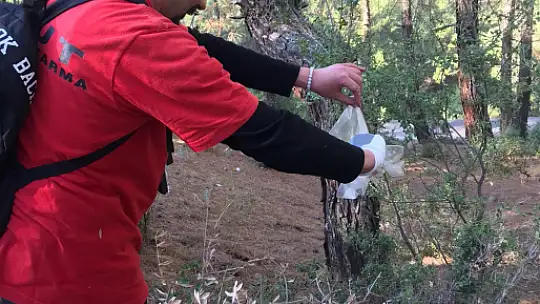 Akut Planlı Bölgesel Eğitimi Fethiye'de