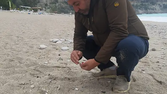 Duyarlı Rus vatandaşlar, sahili temizledi