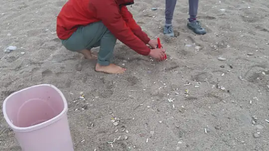 Duyarlı Rus vatandaşlar, sahili temizledi