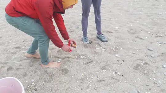 Duyarlı Rus vatandaşlar, sahili temizledi