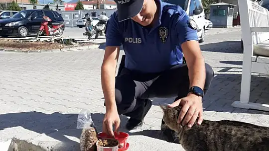 EMNİYETTEN MAMA DAĞITIMI