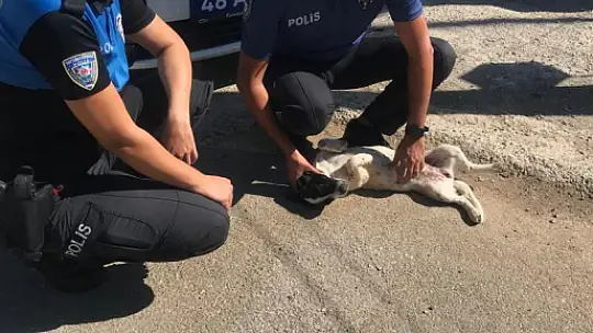 EMNİYETTEN MAMA DAĞITIMI