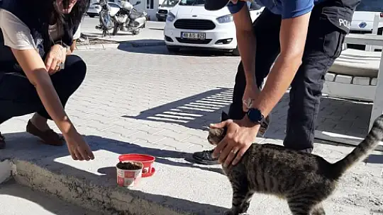 EMNİYETTEN MAMA DAĞITIMI