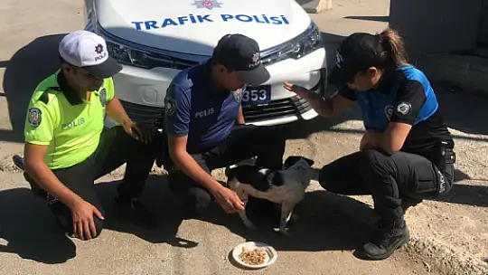 EMNİYETTEN MAMA DAĞITIMI