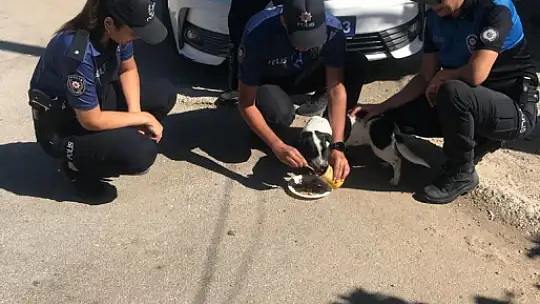 EMNİYETTEN MAMA DAĞITIMI