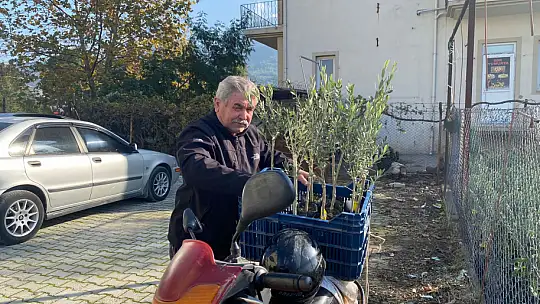 BAŞKAN KARAYİĞİT, 'ZEYTİN FİDANLARI GELDİ'
