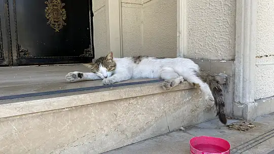 Kavurucu Sıcaklar Sokakları Boşalttı, Sahiller Doldu Taştı