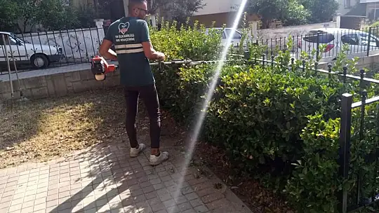 Belediyeden mevsimsel bakım çalışmaları devam ediyor
