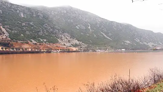 Yağışlar çiftçiyi sevindirdi