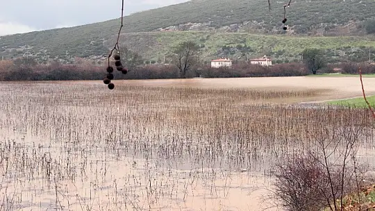 Yağışlar çiftçiyi sevindirdi