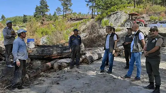 Yanan alanlar fidan dikimine hazırlanıyor