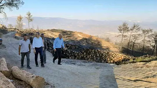 Yanan alanlar fidan dikimine hazırlanıyor