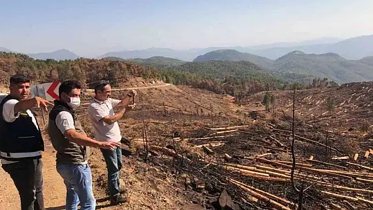 Yanan alanlar fidan dikimine hazırlanıyor