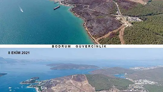 Yanan alanlar fidan dikimine hazırlanıyor