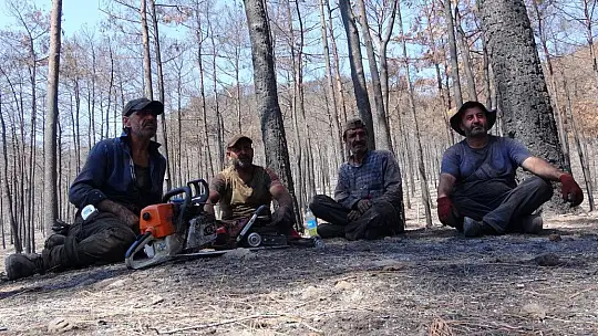 Yanan alanlarda kesim çalışmaları başladı