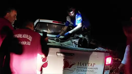 Yanan ormandan 4 gün sonra sağ kurtuldu