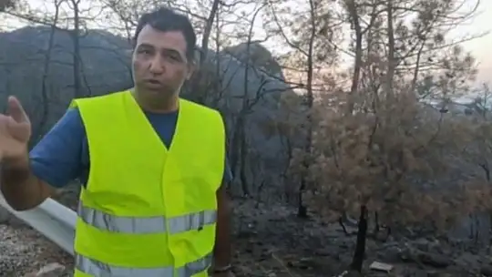 Yanan sahalara hayvanlar için yem bırakıyorlar