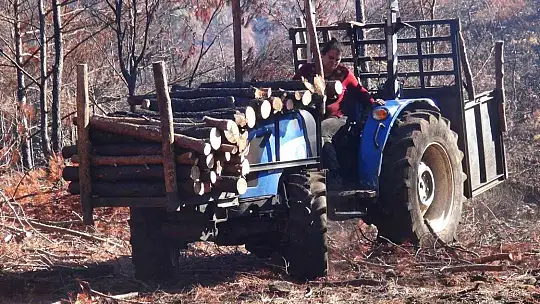 Yanan sahalara kadın eli