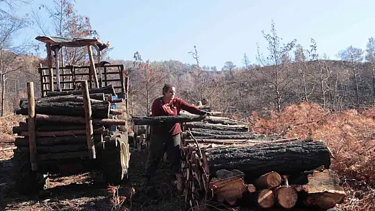 Yanan sahalara kadın eli