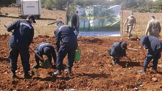 Yanan sahaların yüzde 75'inde çalışmalar tamamlandı