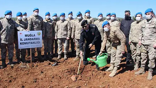 Yanan sahaların yüzde 75'inde çalışmalar tamamlandı