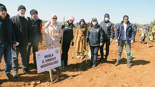 Yanan sahaların yüzde 75'inde çalışmalar tamamlandı