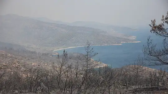 Yangın Bodrum'da kontrol altına alındı