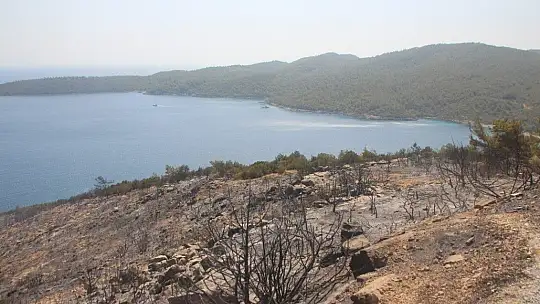 Yangın Bodrum'da kontrol altına alındı