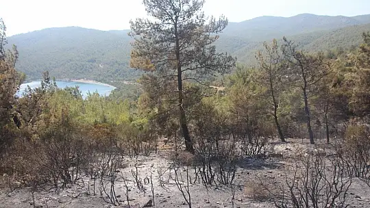 Yangın Bodrum'da kontrol altına alındı