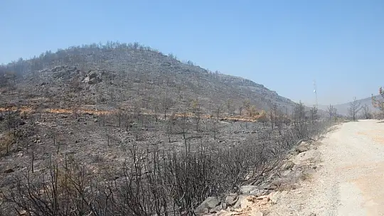 Yangın Bodrum'da kontrol altına alındı