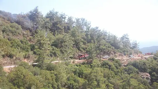 Yangın Bodrum'da kontrol altına alındı