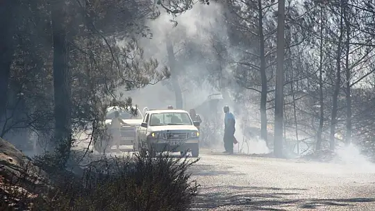 Yangın geniş bir alana yayıldı, vatandaşlar da seferber oldu