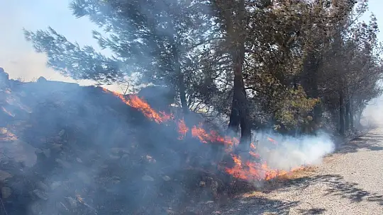 Yangın geniş bir alana yayıldı, vatandaşlar da seferber oldu