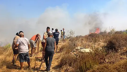 Yangın geniş bir alana yayıldı, vatandaşlar da seferber oldu