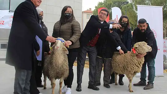 Yangın mağduru kadın üreticilere 10 bin koyun