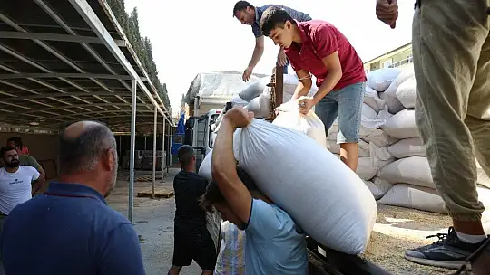 Yangın mağduru üreticiler için TAGEM seferber oldu