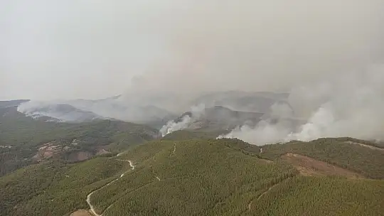 Yangın sonrası siyaha bürünen Muğla gökyüzünden böyle görüntülendi