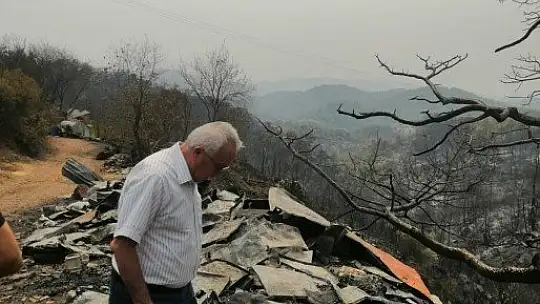 Yangın sonrası tabiatın dengesini sağlayan arılarda açlık tehlikesi