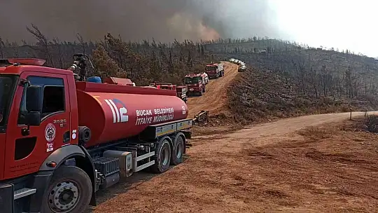 Yangın yönünü Okluk Koyu'na çevirdi