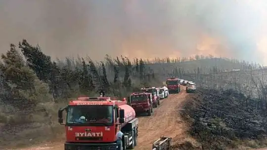 Yangın yönünü Okluk Koyu'na çevirdi