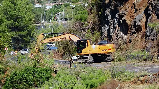 Yangına riskli bölgelerde temizlik