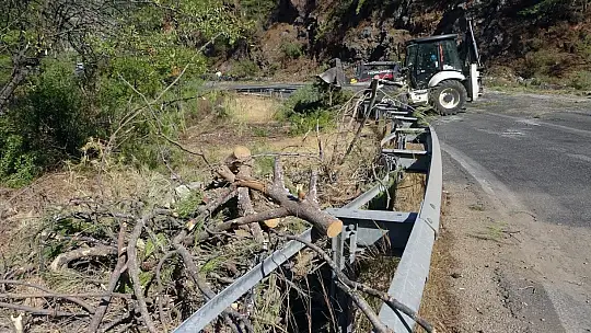 Yangına riskli bölgelerde temizlik