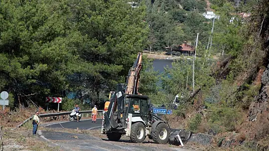Yangına riskli bölgelerde temizlik