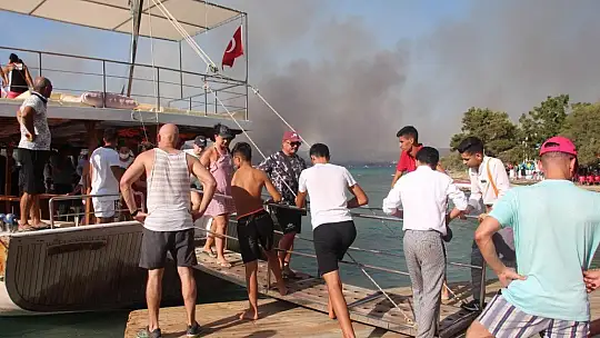 Yangında 80 hektar orman kül oldu