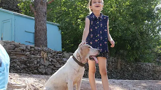 Yangında köpeğinin kulübesi yanmıştı, minik Merve'nin hayali gerçek oldu