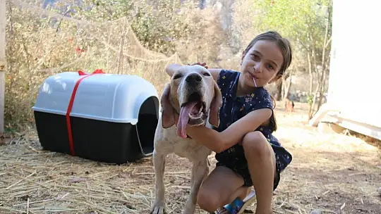 Yangında köpeğinin kulübesi yanmıştı, minik Merve'nin hayali gerçek oldu