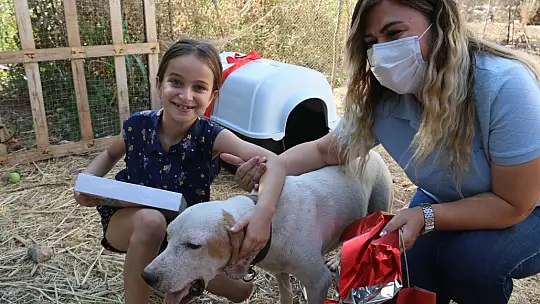 Yangında köpeğinin kulübesi yanmıştı, minik Merve'nin hayali gerçek oldu