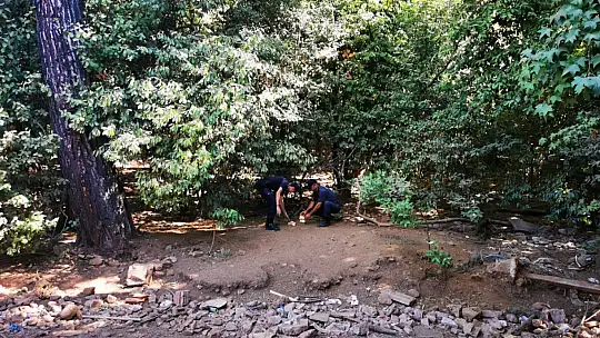 Yangından kaçan domuzlara Jandarma ve otelciler yemek verdi
