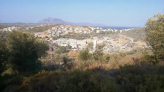 Yangını duyan koştu, metrelerce uzunluğunda insan zinciri oluştu